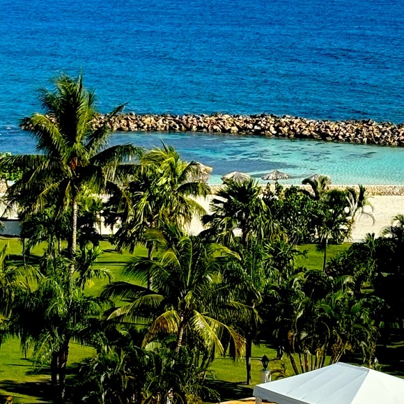 Meet your Posher, Abby - Picture 1 of 1